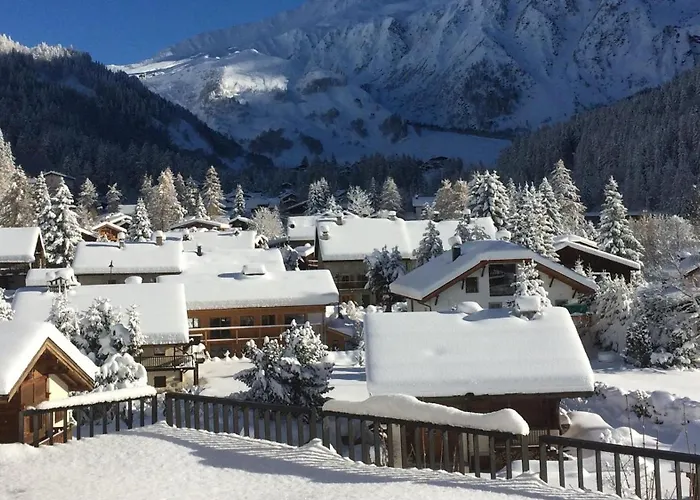 公寓 Vue Mont Blanc, Balcon Et Parking Prive